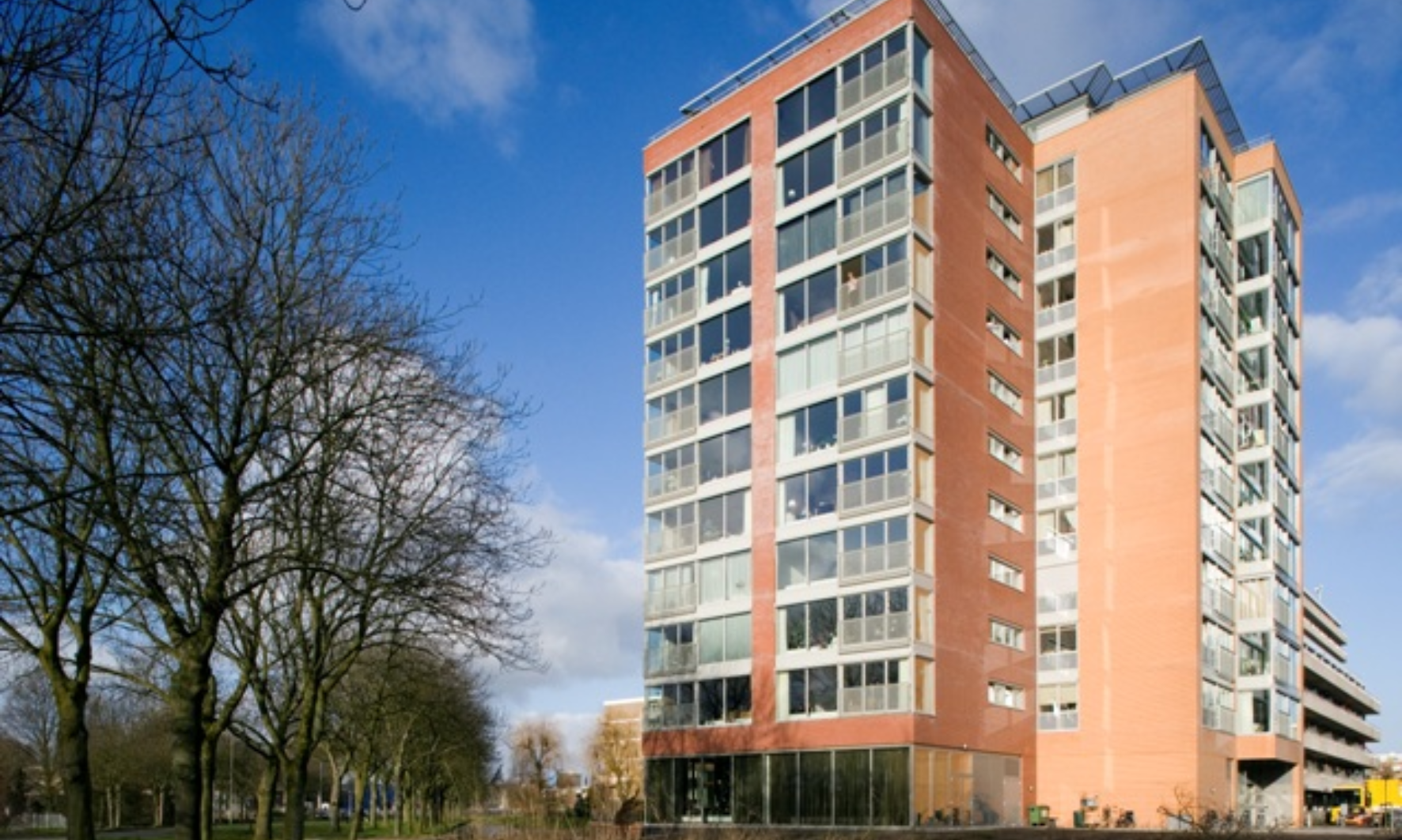 Driehoorne, Alphen aan den Rijn