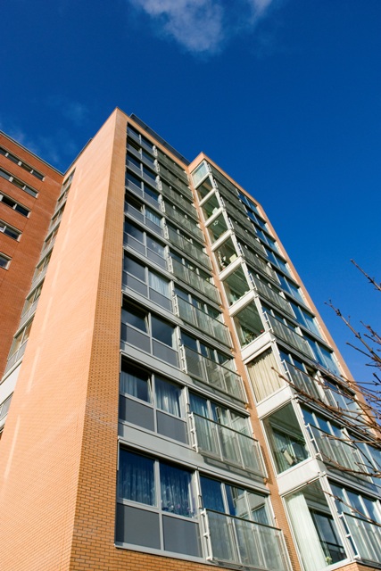 Driehoorne, Alphen aan den Rijn